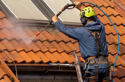 Démoussage et hydrofuge de toiture à Champlay
